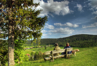  Die Naturparke im Land bieten vielfltige Mglichkeiten des Naturerlebens und der Entspannung